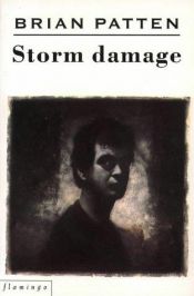 book cover of Storm Damage by Brian Patten