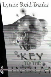 book cover of The key to the Indian by 琳妮·里德·班克斯