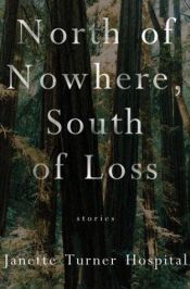 book cover of North of Nowhere, South of Loss by Alex Juniper