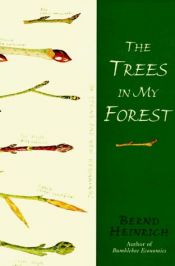 book cover of The trees in my forest by Bernd Heinrich