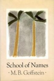 book cover of School of names by M. Goffstein