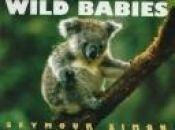 book cover of Wild Babies by Seymour Simon