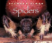 book cover of Spiders by Seymour Simon