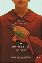 book cover of An almost perfect moment by Binnie Kirshenbaum