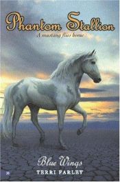 book cover of Phantom Stallion #20 by Terri Farley