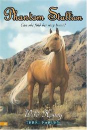 book cover of Phantom Stallion #22 by Terri Farley