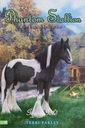 book cover of Gypsy Gold by Terri Farley