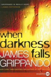 book cover of When Darkness Falls by James Grippando