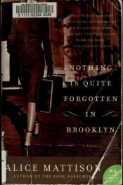 book cover of Nothing is quite forgotten in Brooklyn by Alice Mattison