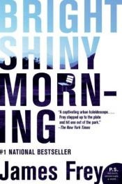 book cover of Bright Shiny Morning by جیمز فری