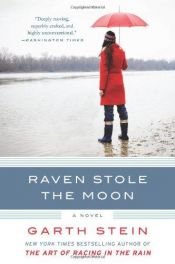 book cover of Raven Stole The Moon by Garth Stein