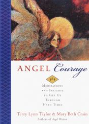 book cover of Angel Courage: 365 Meditations and Insights to Get Us Through Hard Times by Terry Lynn Taylor