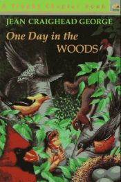 book cover of One day in the woods by Jean Craighead George