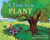 book cover of A Tree Is a Plant by Clyde Robert Bulla