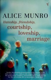 book cover of Kärlek, vänskap, hat : noveller by Alice Munro