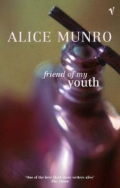 book cover of Stringimi forte, non lasciarmi andare by Alice Munro