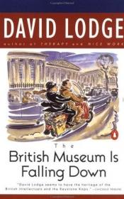 book cover of The British Museum Is Falling Down by Deivids Lodžs