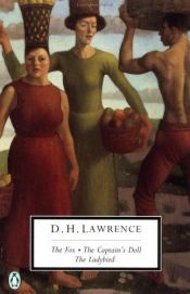 book cover of The Fox by D. H. Lawrence