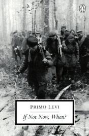 book cover of Om ikke nu, hvornår så? by Primo Levi