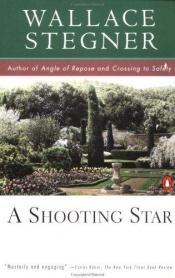 book cover of A shooting star by वालेस स्टेग्नर