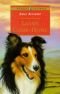 Lassie. LeseRiese. ( Ab 10 J.). Die Geschichte eines treuen Hundes