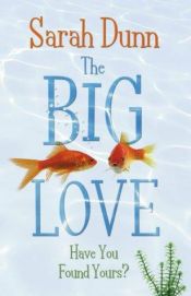 book cover of Big Love by Sarah Dunn