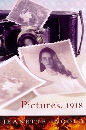 book cover of Pictures, 1918 by Jeanette Ingold