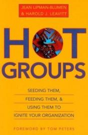 book cover of Hot groups : seeding them, feeding them, and using them to ignite your organization by Jean Lipman-Blumen