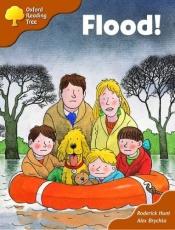 book cover of Oxford Reading Tree: Stage 8: More Storybooks: Flood! by Roderick Hunt
