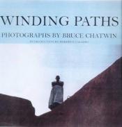 book cover of Winding Paths by ブルース・チャトウィン