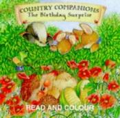 book cover of Birthday Surprise (Country Companions) by Karen King