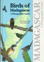 book cover of Birds of Madagascar : a photographic guide by Peter Morris