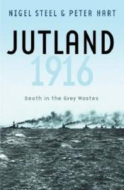 book cover of Jutland, 1916: Death in the Grey Wastes (Cassell Military Paperbacks) by 피터 하트