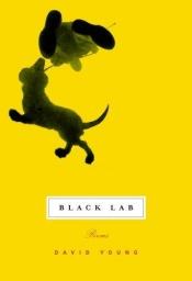 book cover of Black Lab by David Young