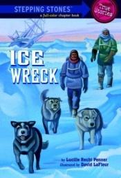 book cover of Ice wreck (Road to reading. Mile 4) by Lucille Recht Penner