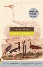 book cover of Vogels van Amerika by Lorrie Moore
