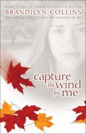 book cover of Capture the wind for me by Brandilyn Collins