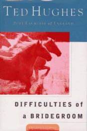 book cover of Difficulties of a bridegroom by Ted Hughes