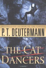 book cover of Kattenjacht by P. T. Deutermann