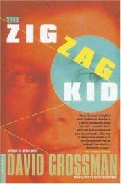 book cover of The Zigzag Kid by Dawid Grossman