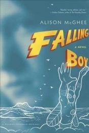 book cover of Falling boy by Alison McGhee