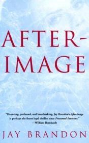 book cover of Afterimage (Chris Sinclair) by Jay Brandon