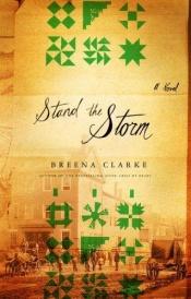 book cover of Stand the Storm by Breena Clarke