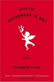 book cover of When the Messenger is Hot by Elizabeth Crane