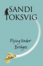 book cover of Flying under bridges by Sandi Toksvig