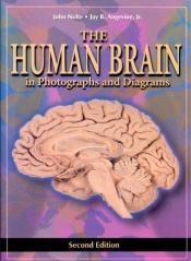 book cover of The human brain : in photographs and diagrams by John Nolte