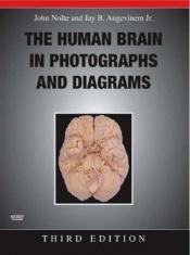 book cover of The Human Brain in Photographs and Diagrams with CD-ROM by John Nolte