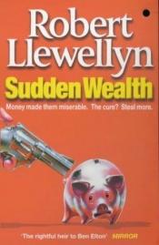 book cover of Sudden Wealth by Robert Llewellyn