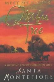 book cover of Meet Me Under the Ombu Tree by Santa Montefiore