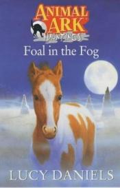 book cover of Foal in the Fog by Ben M. Baglio